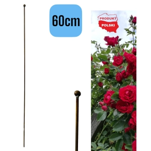 PALIK TYCZKA DO ROŚLIN 60CM PODPORA POMIDORÓW KWIATY METALOWA SOLIDNA